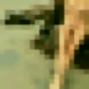 Sexy Israëlle, 26 ans à Laudun-l'Ardoise - voir sa photo