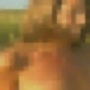 Jennifer, 38 ans, disponible à Lavardac pour une rencontre coquine