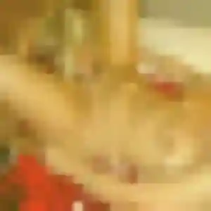 Neema, femme de 32 ans cherche plan cul à Lavault-Sainte-Anne