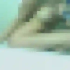 Contacte Bernadette, 44 ans à Lavoûte-sur-Loire gratuitement