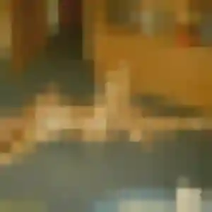 Profil de Lola à Le Bar-sur-Loup (22 ans) - plan cul discret