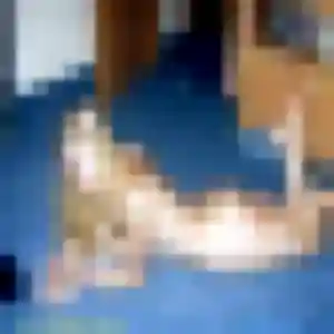 Photo exclusive de Peace, 34 ans à Le Bez - rencontre coquine