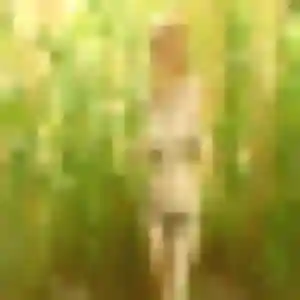 Perpétue, femme de 29 ans cherche plan cul à Le Bosc du Theil