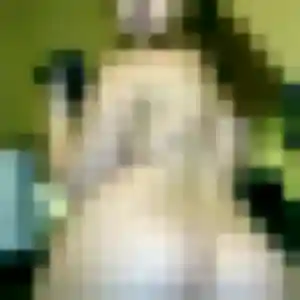 Photo de Linda à Le Faouët (25 ans) - plan cul anonyme