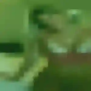 Photo exclusive de Rachida, 43 ans à Le Gua - rencontre coquine