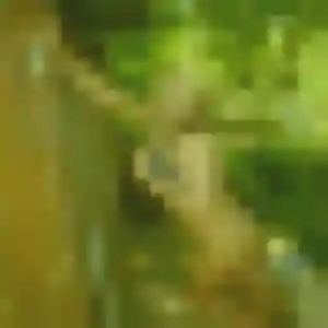 Naëlle, 34 ans, dispo pour plan cul à Le Pouliguen