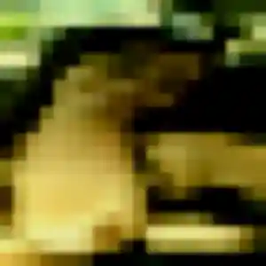 Jolie Codou, 27 ans à Le Puy-en-Velay - la contacter
