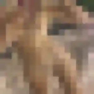 Maëva (44 ans) à Le Soler cherche un plan cul rapidement