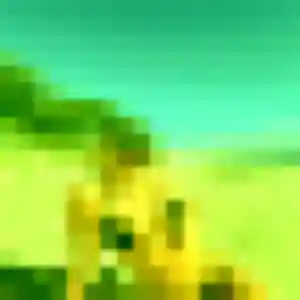 Photo de Rokhaya à Le Teich (26 ans) - plan cul discret