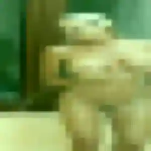 Adjoavi (38 ans) à Le Tréhou cherche un plan cul ce soir