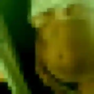 Photo exclusive de Nafi, 28 ans à Le Vanneau-Irleau - rencontre coquine
