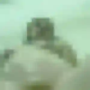 Profil de Morgane à Lecelles (42 ans) - plan cul discret