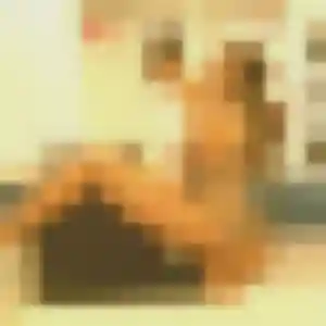 Axelle, 33 ans, connectée à Leimbach pour une rencontre coquine