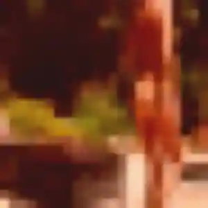 Shanelle, 35 ans, connectée à Lembeye pour un plan cul