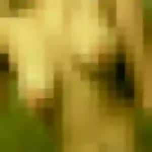 Photo exclusive de Henriette, 42 ans à Les Attaques - rencontre coquine