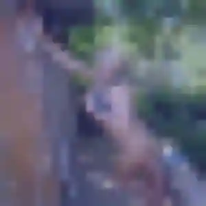 Amani (44 ans) à Les Baux-de-Breteuil cherche une rencontre aujourd'hui