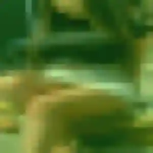 Profil de Amira à Les Maillys (33 ans) - plan cul sans inscription