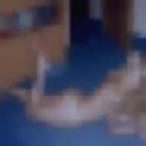 Chiamaka, 24 ans, connectée à Lhomme pour un plan cul