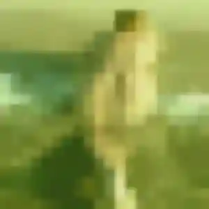 Sexy Wendy, 25 ans à Loguivy-Plougras - la contacter