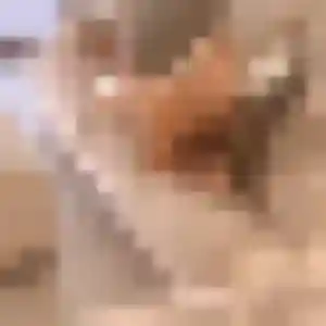 Photo sexy de Oumou Kalsoum, 38 ans à Lombron - rencontre sans lendemain