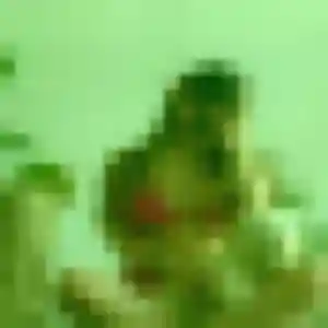 Photo privée de Solange, 29 ans à Longages - rencontre coquine