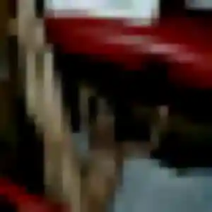 Photo perso de Grâce, 37 ans à Longues-sur-Mer - plan discret