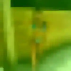 Photo de Noémie à Longueville (28 ans) - plan cul gratuit
