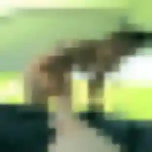 Profil de Precious à Lusigny (42 ans) - plan cul discret