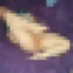 Photo sexy de Rosalie, 26 ans à Magny-Vernois - rencontre sans lendemain