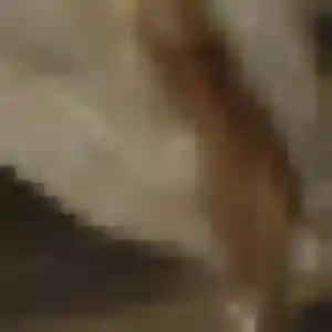 Photo sexy de Naomie, 22 ans à Maillot - rencontre sans lendemain