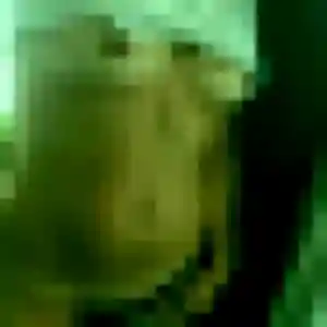 Photo de Jessica à Malafretaz (38 ans) - plan cul sans inscription