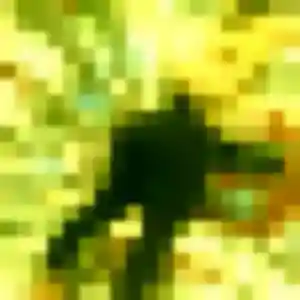 Photo de Tanoh à Marcelcave (39 ans) - plan cul discret