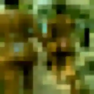 Photo exclusive de Philippine, 45 ans à Marcq-en-Barœul - rencontre sans lendemain