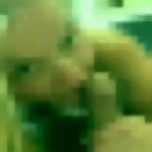 plan cul à Mariol : profil de Sira, 23 ans - inscription gratuite