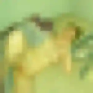 Rejoins Djeneba, 26 ans à Massérac gratuitement