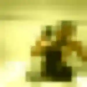 Toyin, 32 ans, connectée à Massérac pour une rencontre coquine