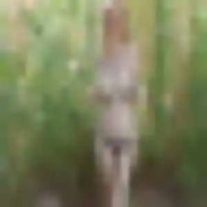 Photo de Nyima à Maulévrier-Sainte-Gertrude (26 ans) - plan cul anonyme