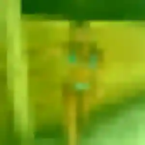 Christelle de Maury, 42 ans - plan cul discret