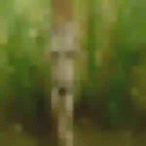 Photo de Vanessa à Mazerolles (24 ans) - plan cul anonyme