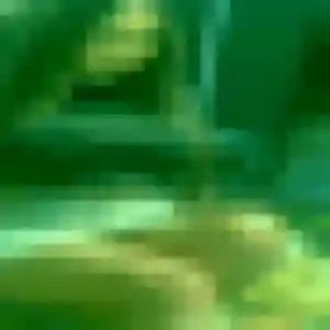 Bintou, 40 ans, connectée à Mercin-et-Vaux pour une rencontre coquine