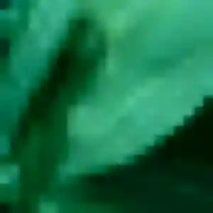 Titi (35 ans) à Mérignac cherche une rencontre maintenant