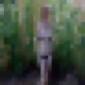 Photo de Djamilatou à Merville (27 ans) - plan cul discret