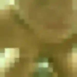 Photo de Salomé à Méteren (27 ans) - plan cul gratuit