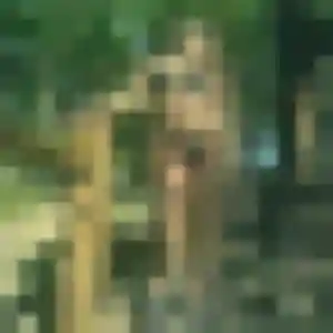 Exaucée, 23 ans, connectée à Mieuxcé pour une rencontre coquine