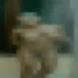 Madeleine, 45 ans, dispo pour plan cul à Mignovillard
