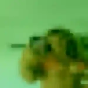 Photo de Saffie à Millam (24 ans) - plan cul gratuit