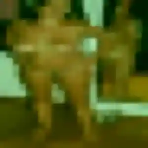 Rébecca, 33 ans, connectée à Miré pour une rencontre coquine