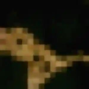 Photo sexy de Georgette, 34 ans à Mirepeix - rencontre sans lendemain