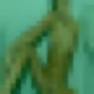Sexy Amenan, 34 ans à Monchy-le-Preux - la contacter
