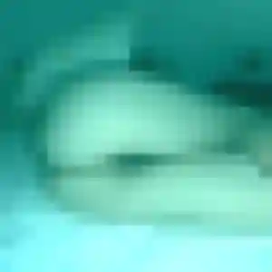Rejoins Omolara, 32 ans à Monnetier-Mornex en privé